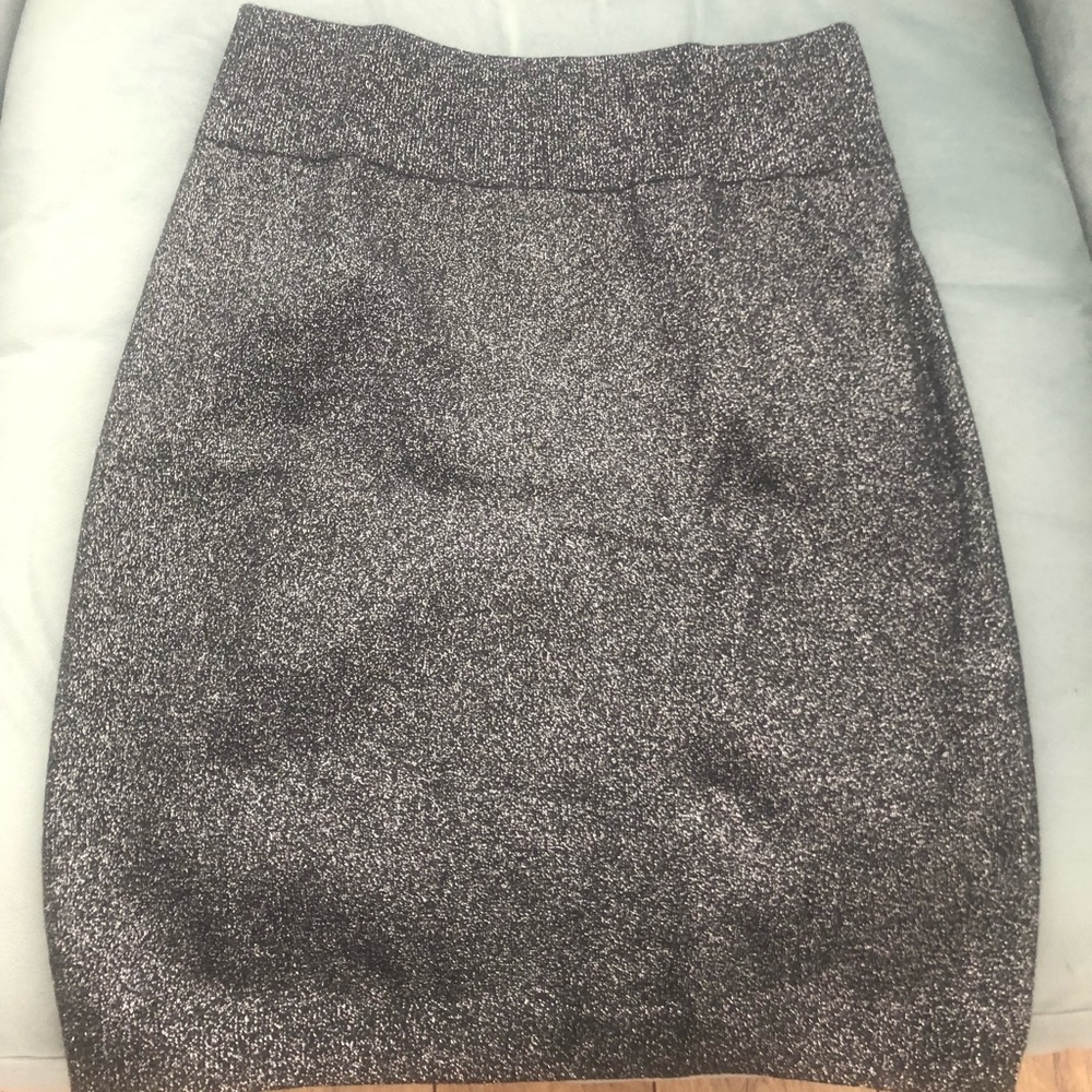 Express Skirt
